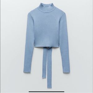 Zara Cropped Open Back Sweater